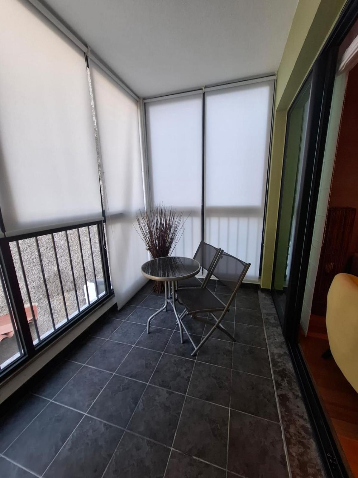 Cozy And Bright Apartment Machico  Dış mekan fotoğraf